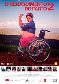 The Birth Reborn 2 poster image