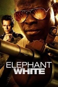Elephant White poster image