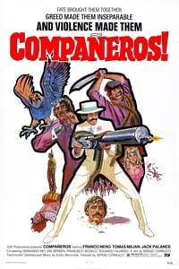 Companeros poster image
