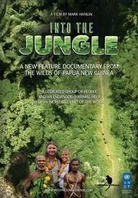 Into the Jungle poster image