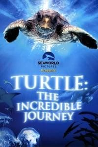 Turtle: The Incredible Journey poster image