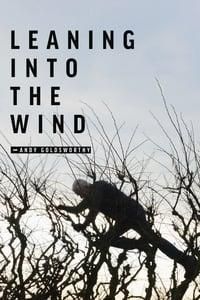 Leaning Into the Wind: Andy Goldsworthy poster image