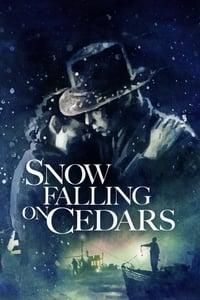Snow Falling on Cedars logo