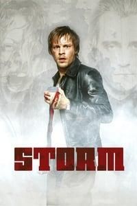 Storm logo