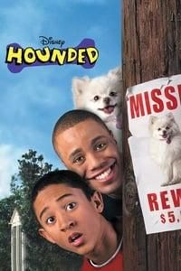 Hounded logo