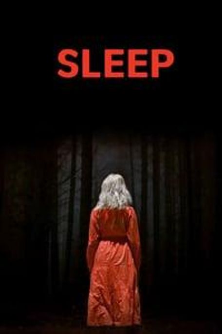 poster for Sleep (Schlaf)