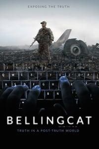 Bellingcat: Truth in a Post-Truth World poster image