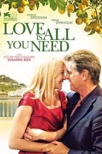 Love is all you Need poster image