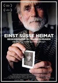 Beyond the Woods logo