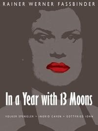 In a Year with 13 Moons poster image