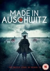 Made in Auschwitz: The Untold Story of Block 10 poster image