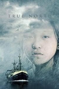 True North poster image