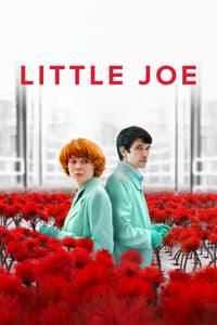 Little Joe poster image