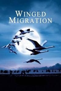 Winged Migration poster image