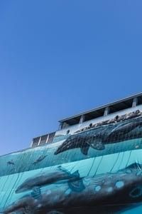 Ocean Stories: Wyland logo