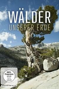 Wälder unserer Erde poster image