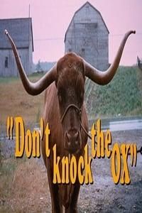 Don't Knock the Ox logo