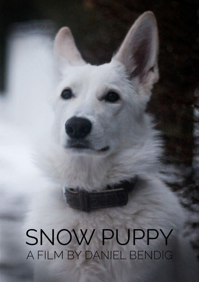 Snow Puppy poster image