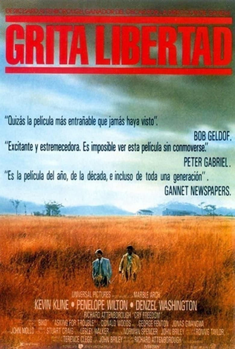 Grita libertad poster image