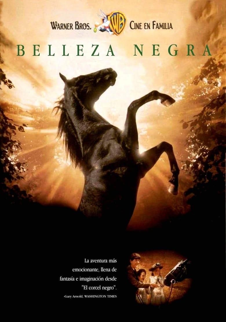 Belleza Negra poster image
