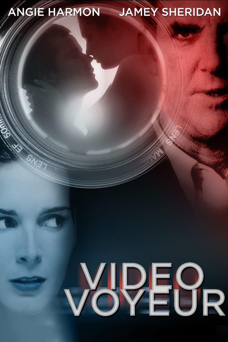 Video Voyeur: The Susan Wilson Story logo