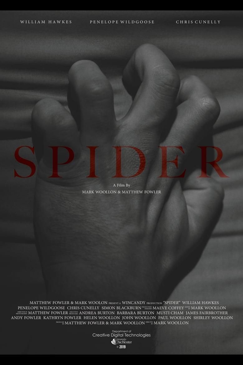 Spider poster image