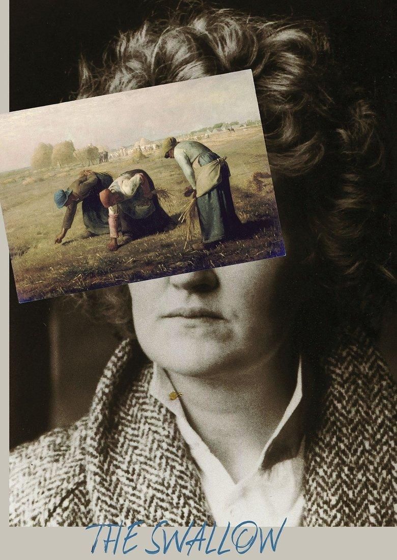 The Swallow poster image