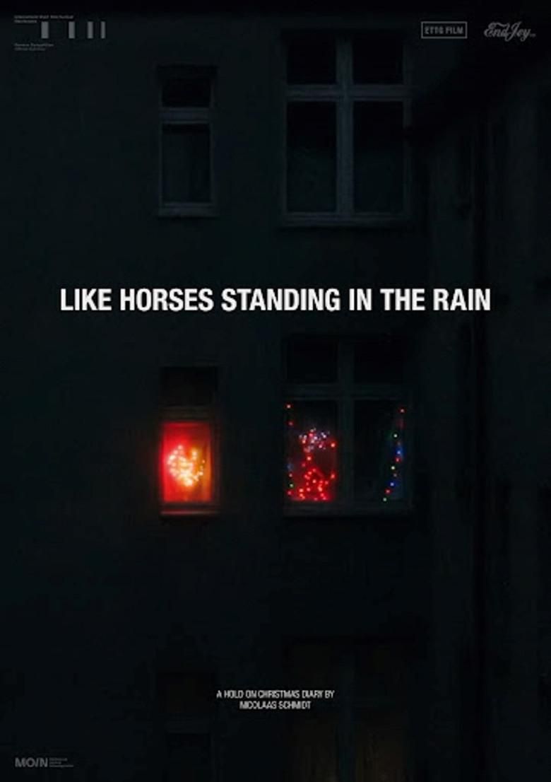 Like Horses Standing in the Rain poster image