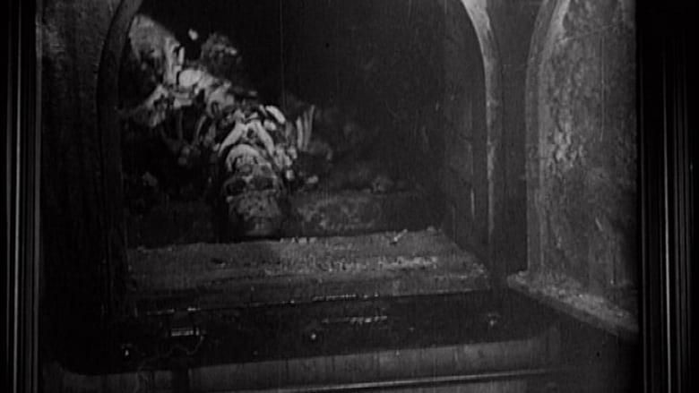Imaginary Witness: Hollywood and the Holocaust thumbnail