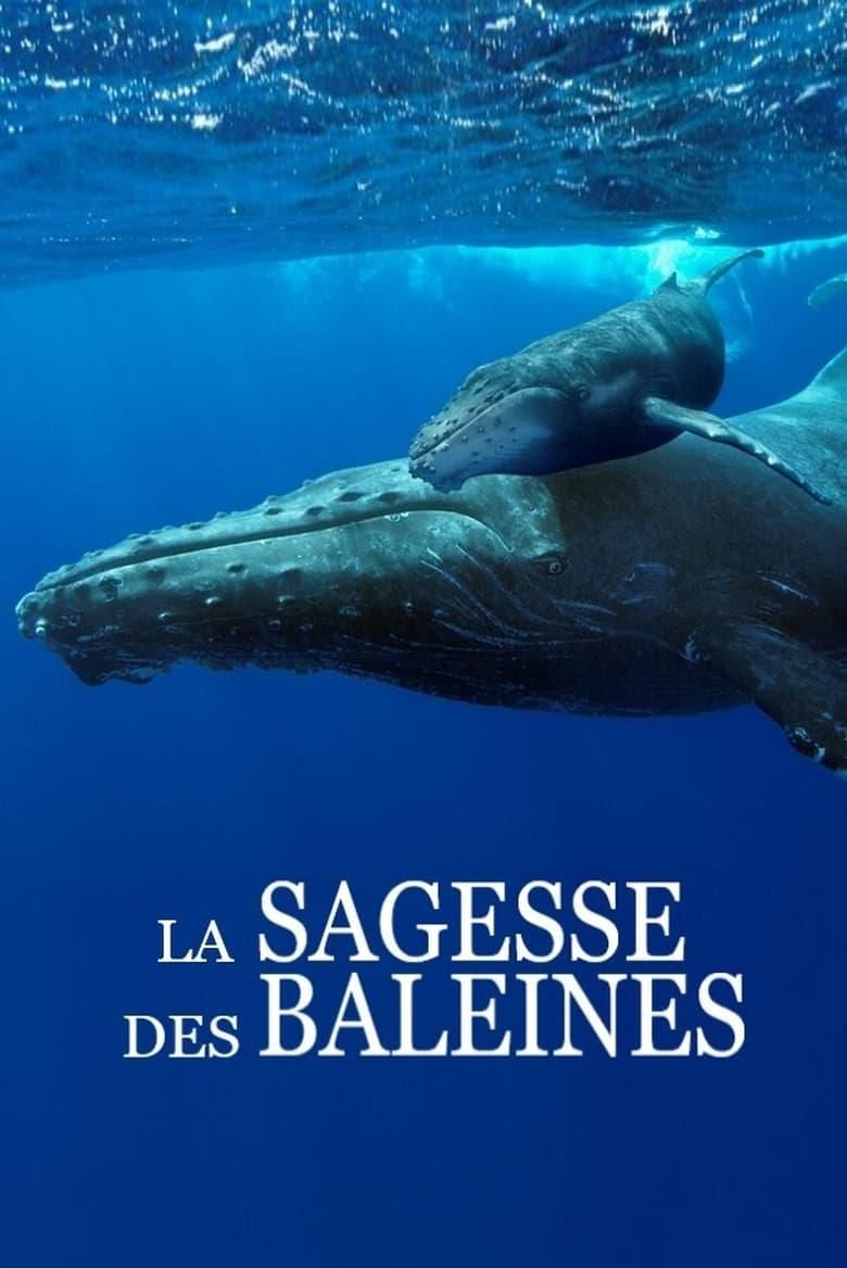 Bionics Revolutions - The Best Ideas of Nature logo