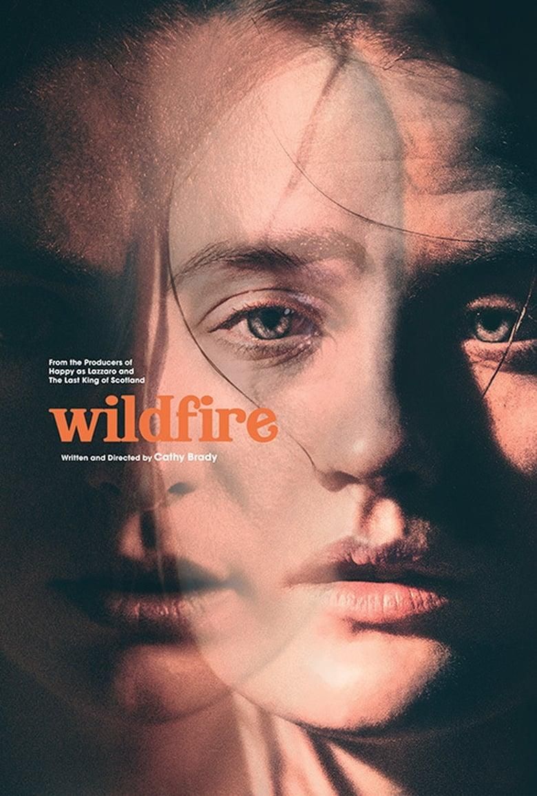 Wildfire poster image