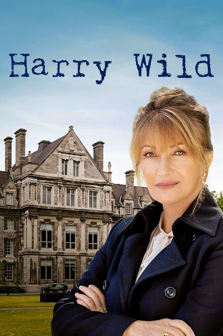 Harry Wild poster image