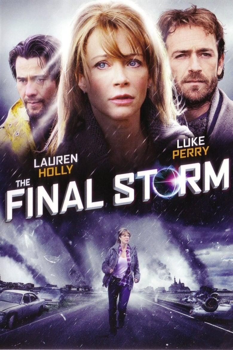 The Final Storm poster image