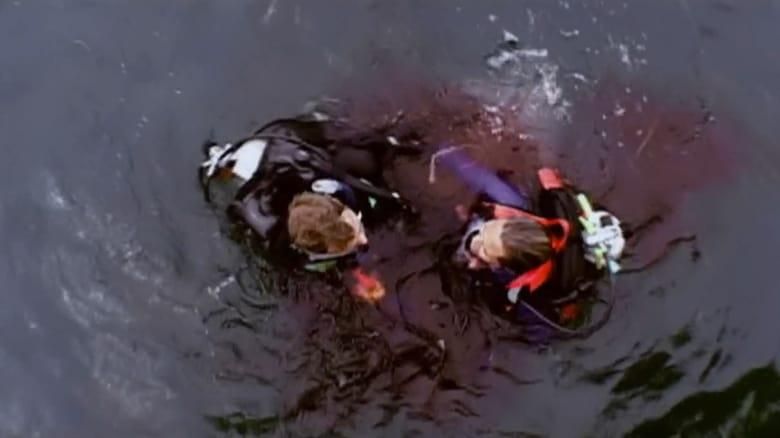 Open Water thumbnail