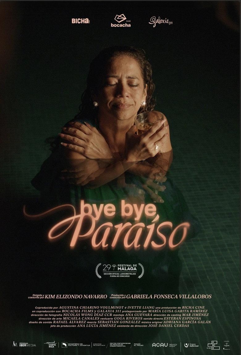 Bye bye, Paraíso poster image