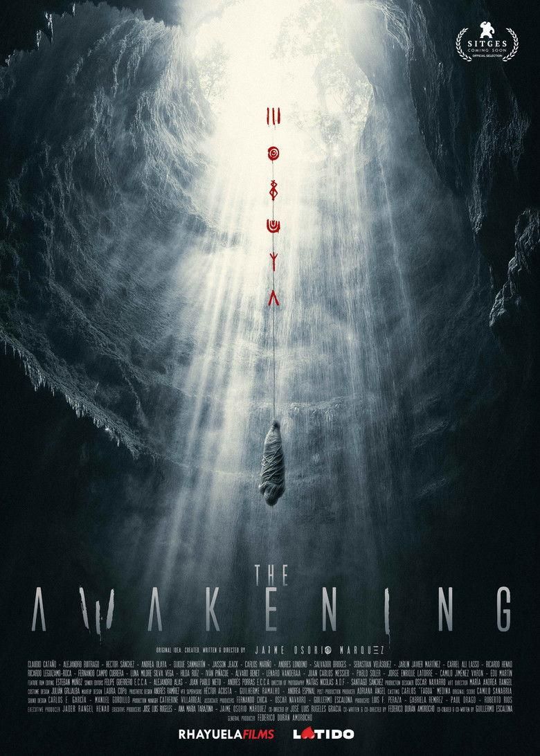 The Awakening poster image