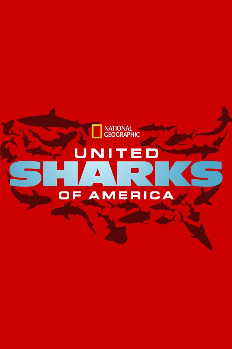 United Sharks of America logo
