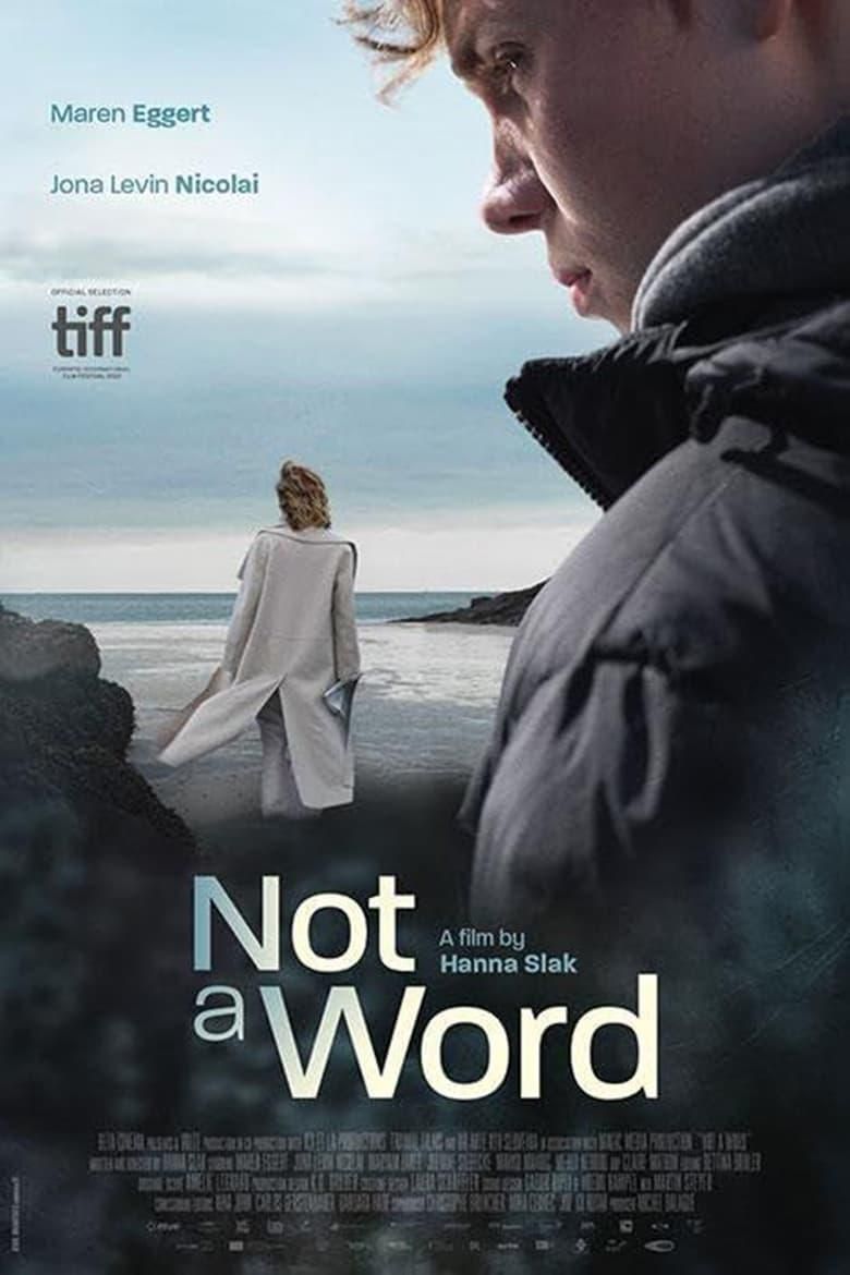 Not a Word poster image