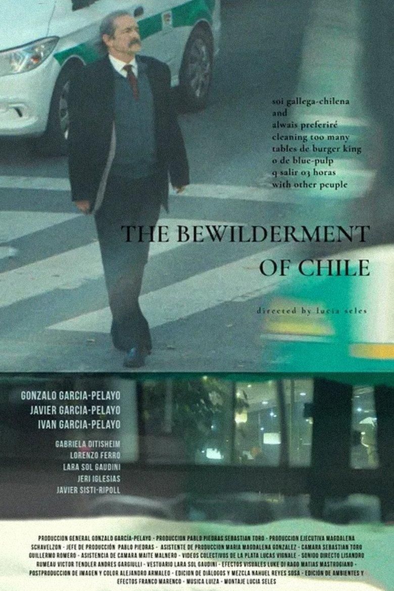 the bewilderment of chile poster image