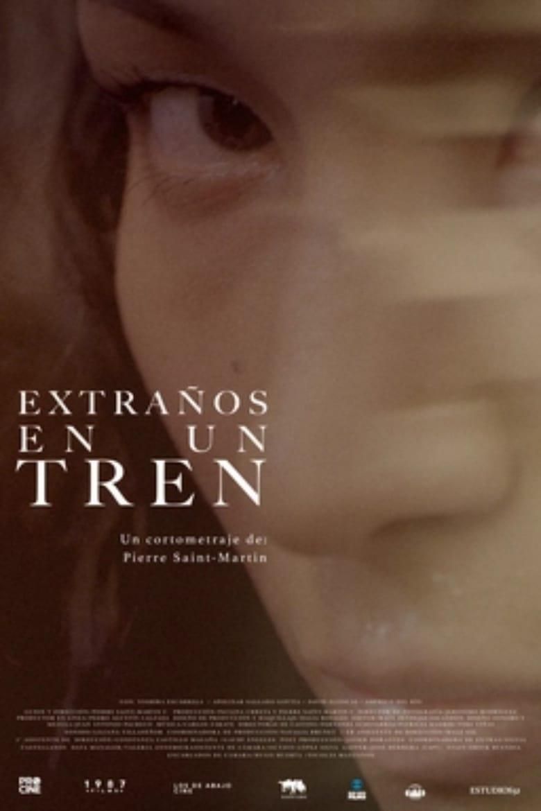 Extraños en un tren poster image