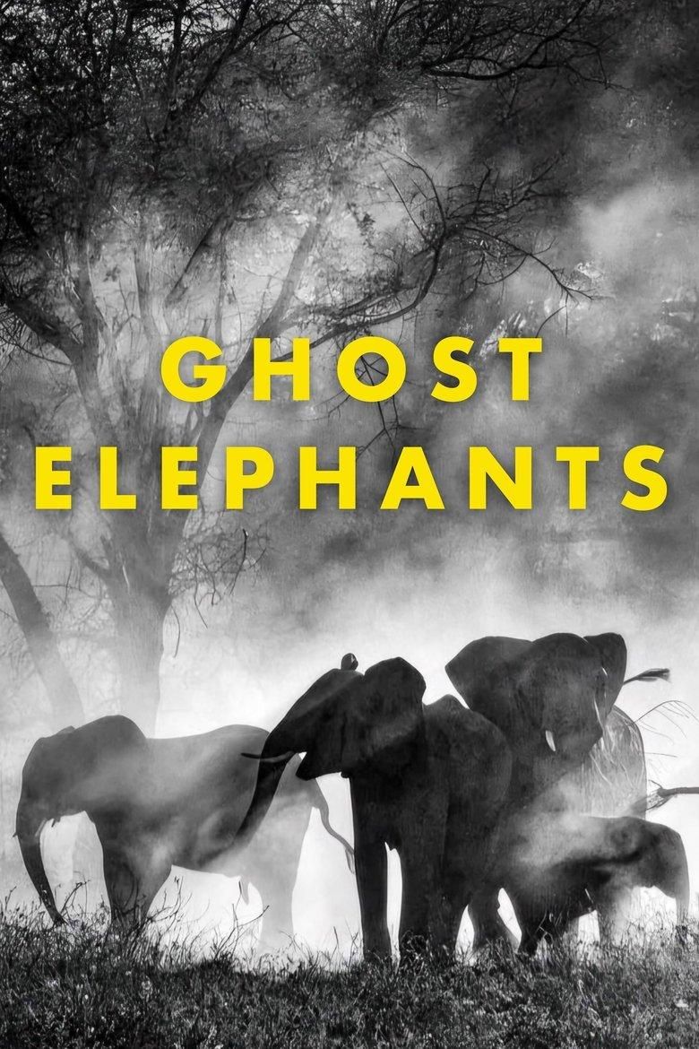 Ghost Elephants poster image