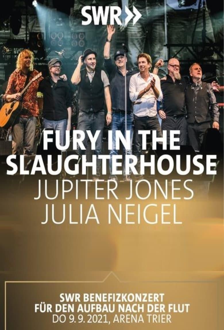 SWR Benefizkonzert - Fury in the Slaughterhouse, Julia Neigel und Jupiter Jones poster image