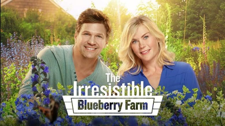 The Irresistible Blueberry Farm thumbnail