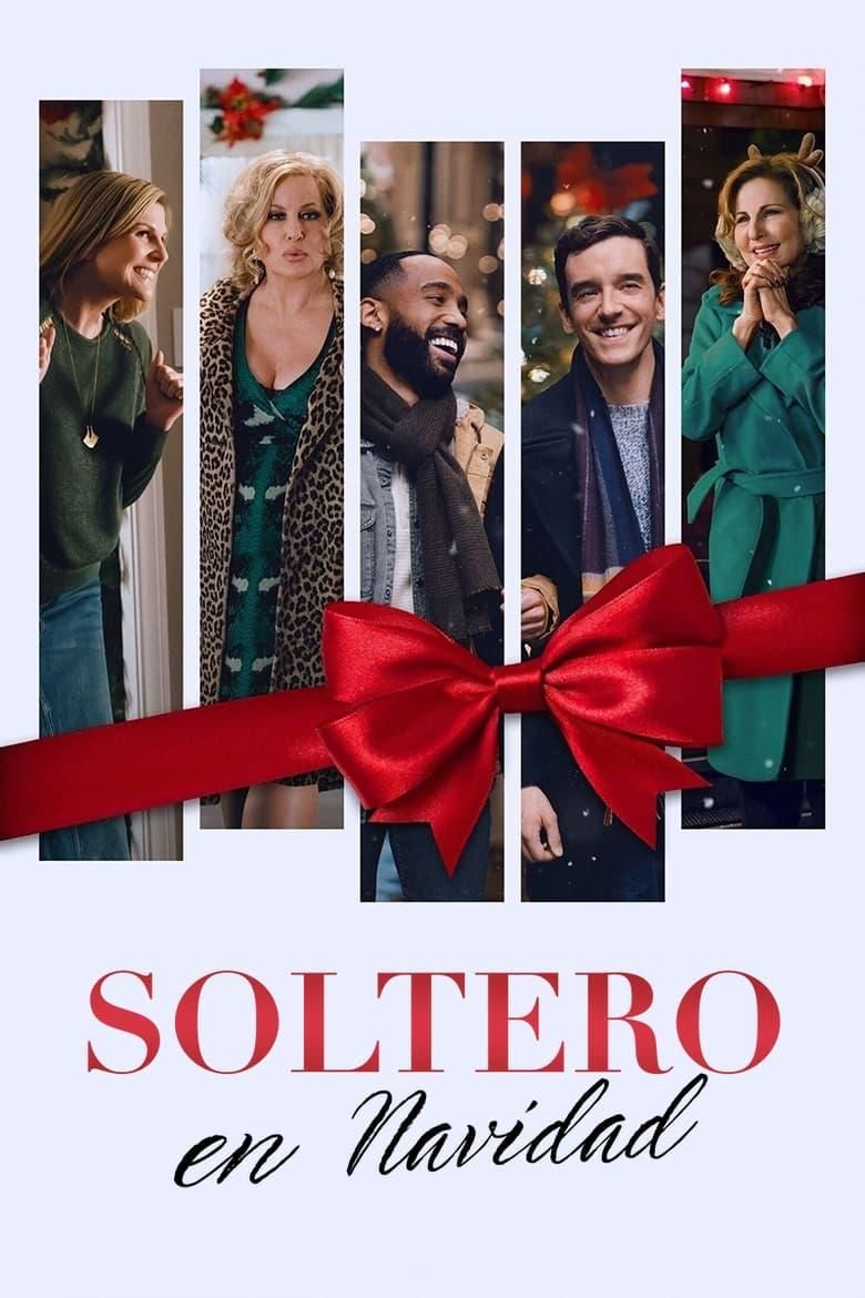 Soltero hasta Navidad poster image