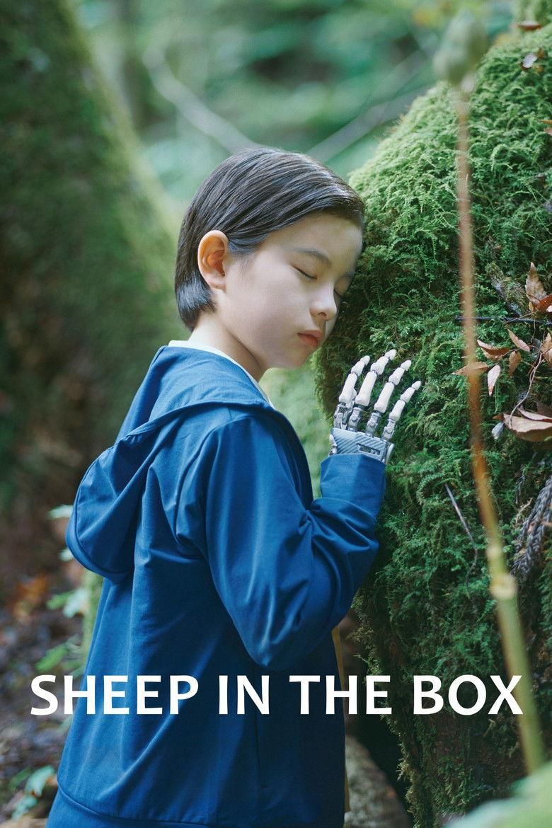 Sheep in the Box poster image