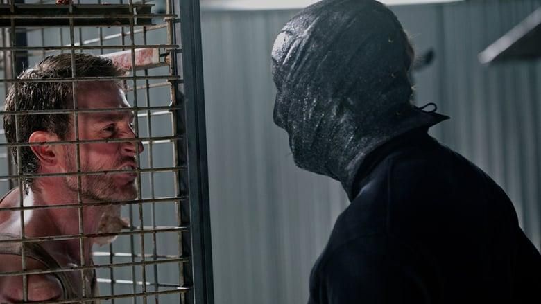 The Collection thumbnail