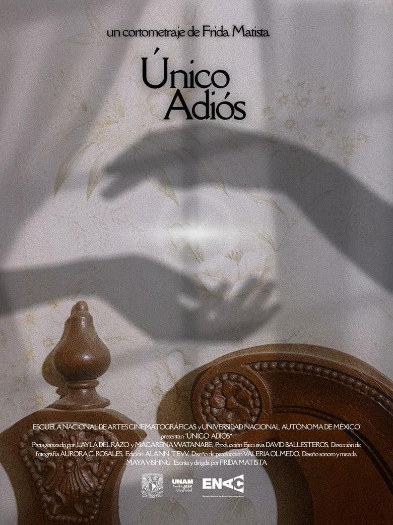 Único Adiós poster image