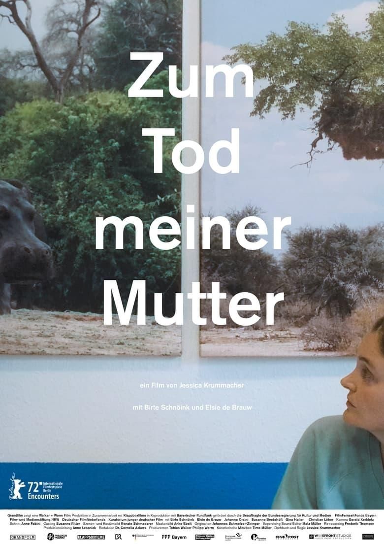The Death of My Mother poster image