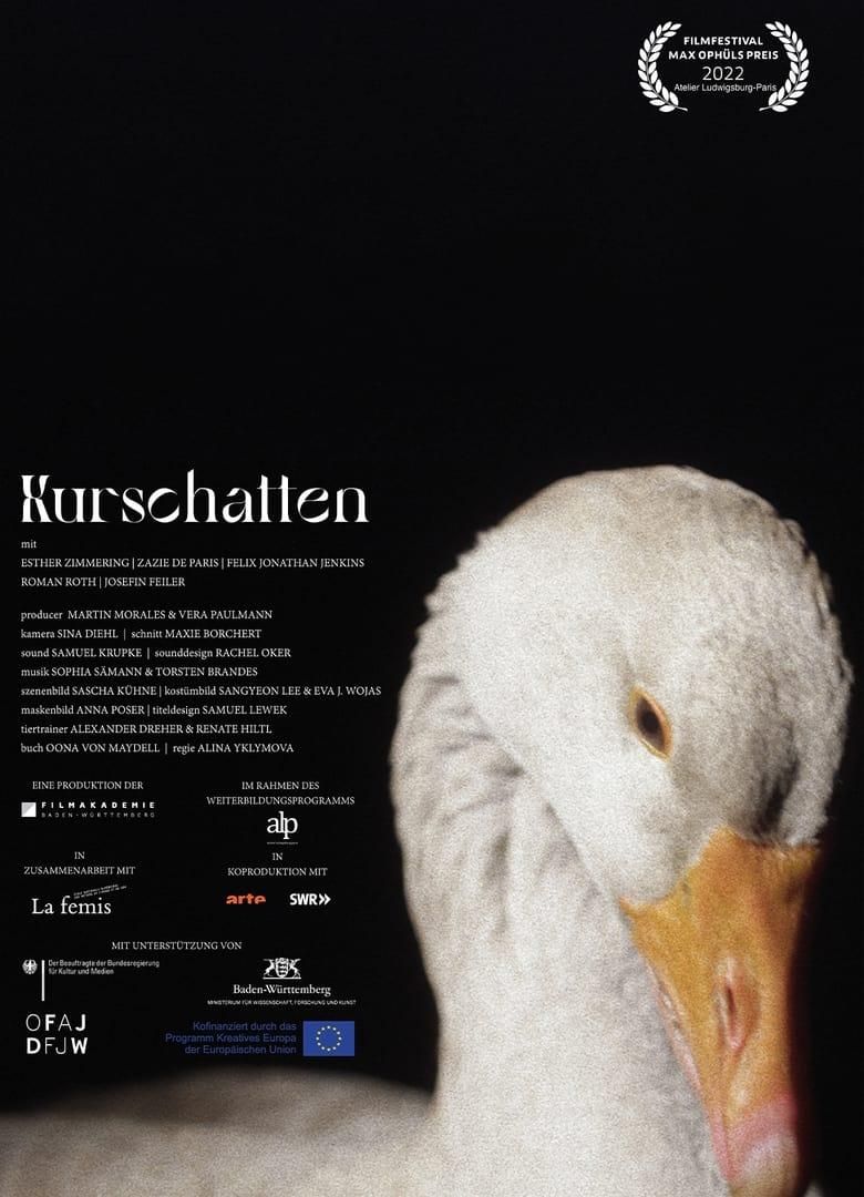 Kurschatten poster image