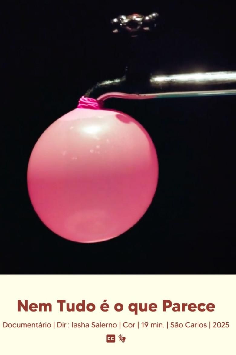 Nem Tudo é o que Parece poster image